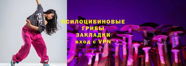 молекула духа Медногорск