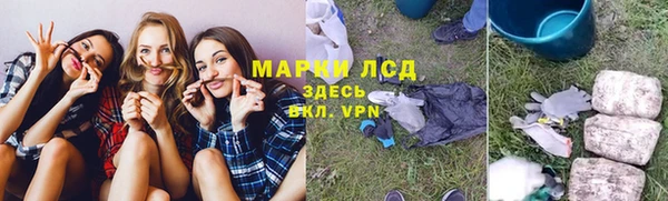 крисы Алексин