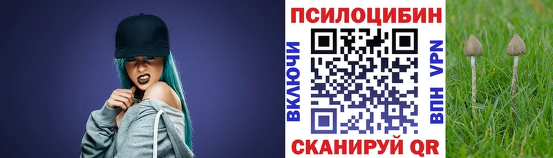 Псилоцибиновые грибы GOLDEN TEACHER  Шарья 
